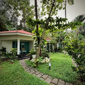 Paddle Cult Resort