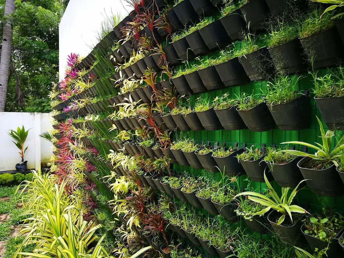 אתר נופש מלון ורקלה Guru Ayurveda Retreat Center הודו